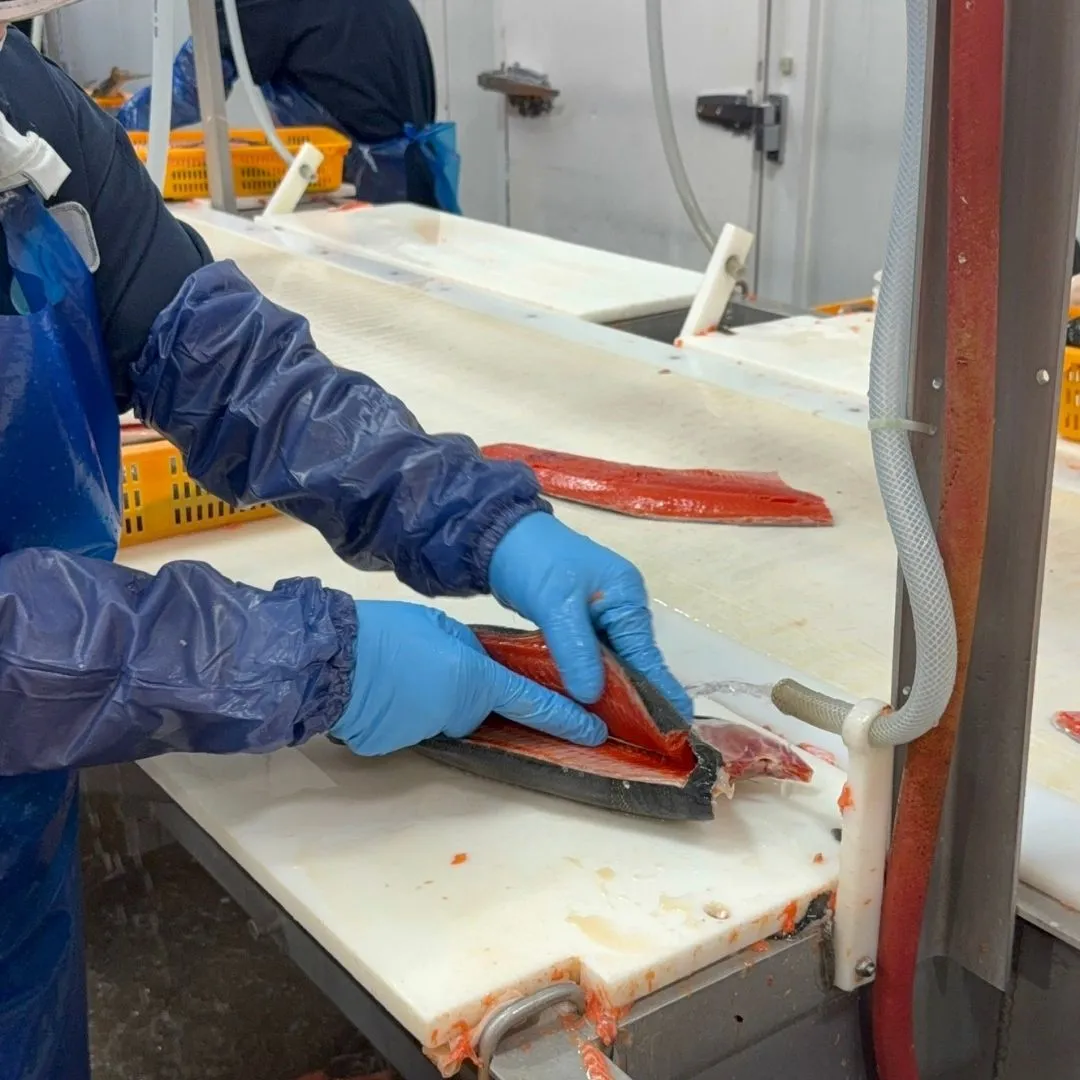 Filleting sockeye salmon by hand on the production line at the Richmond plant